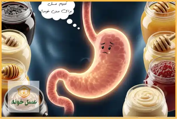 کدام عسل برای معده خوب است؟ بهترین انتخاب علمی و طب سنتی